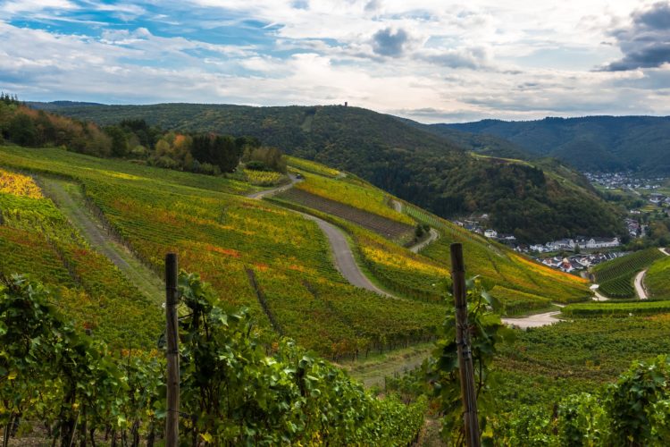 Reise Nach... - Ahrtal