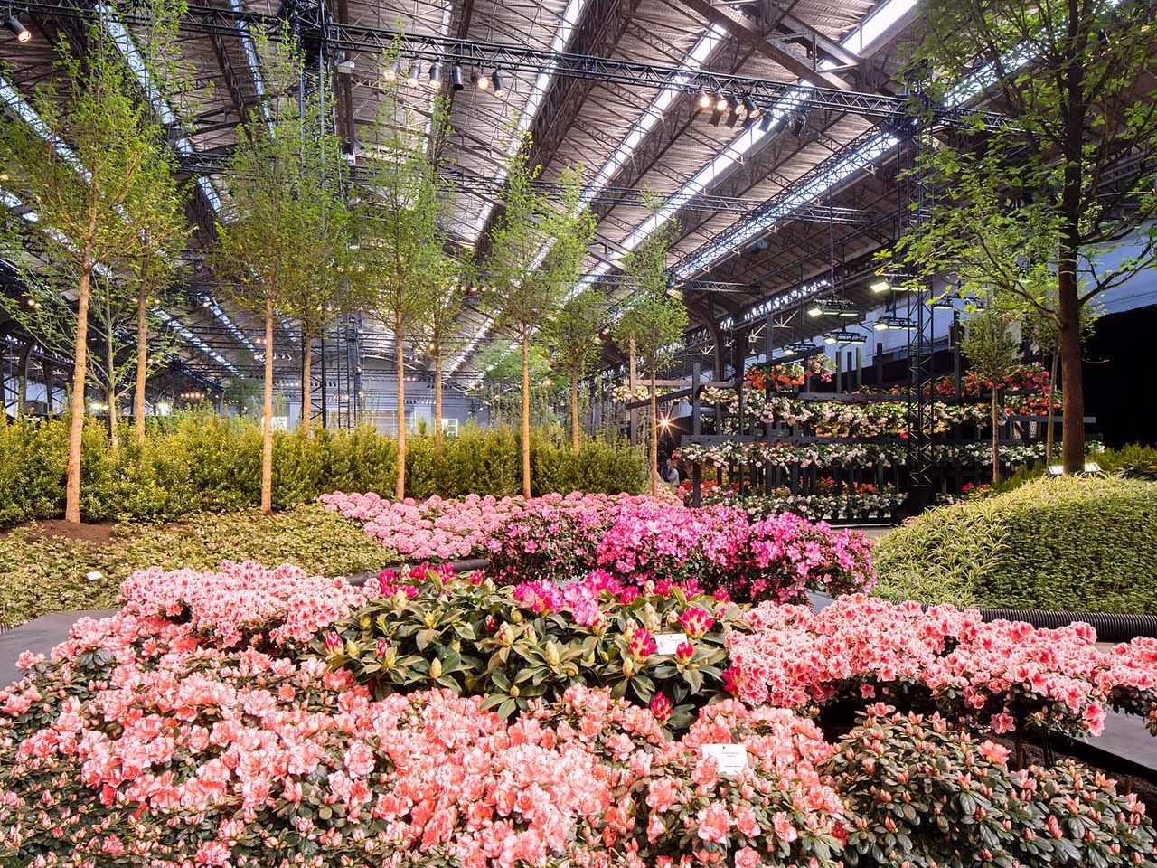 Reise Nach... - Genter Floralien