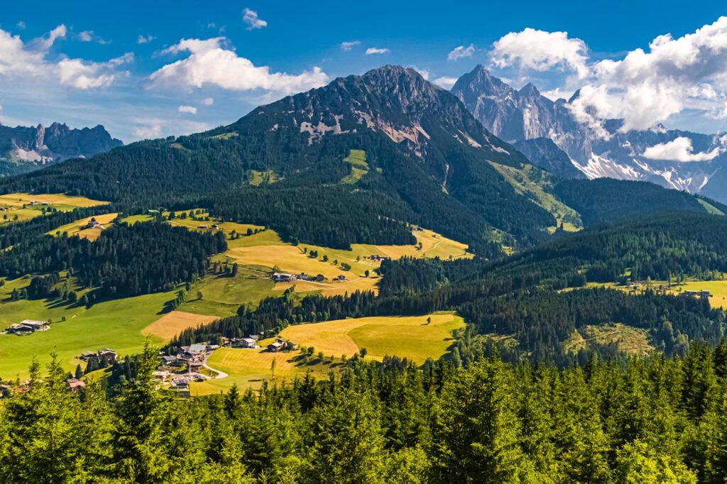 © Martin Erdniss - stock.adobe.com